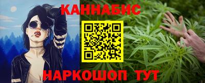 дмт Аргун