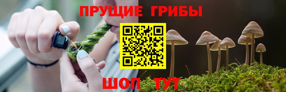 Псилоцибиновые грибы Psilocybine cubensis  Вход с VPN  Вязьма 